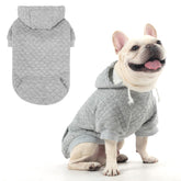 KOOLTAIL dog hoodie gray M front view highlighting cozy warmth for daily walks.