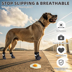 KOOLTAIL breathable mesh dog socks keep paws cool during sunny walks