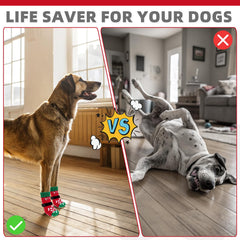 KOOLTAIL dog socks with detachable elastic strap stay secure on active dogs