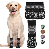 KOOLTAIL dog socks front view on hot pavement providing paw protection.