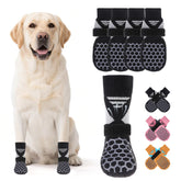 KOOLTAIL dog socks on hot pavement offer paw protection and grip for safer walks