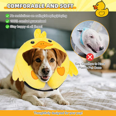 KOOLTAIL donut design lion-trim cone adds cute appearance while preventing licking.