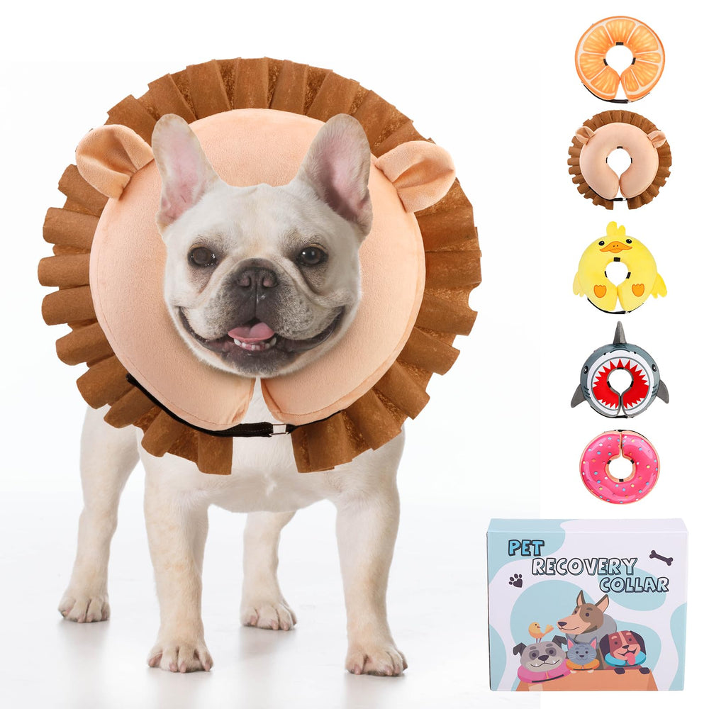 KOOLTAIL inflatable dog cone front view showing secure fit and comfortable wear.