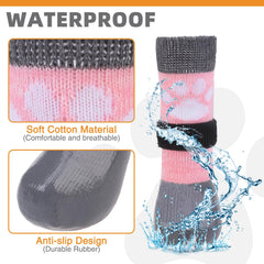 KOOLTAIL waterproof bottom keeps paws dry on wet pavement