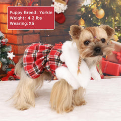 Kosiyi dog leash-friendly sweater with D-rings, perfect for on-walk safety.