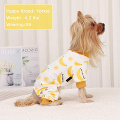 Kosiyi pijama para perro, colores variados, estilo alegre para sesiones de fotos.