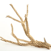 Koyal Wholesale 24-inch cholla wood aquarium centerpiece offers natural habitat realism and decorative impact