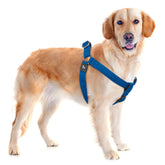 KRUZ PET Kruz No Pull Harness front view with reflective stitching for safe night walks.