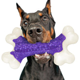 Kseroo Tough Dog Chew with Bacon Flavor for aggressive chewers with flavor appeal.
