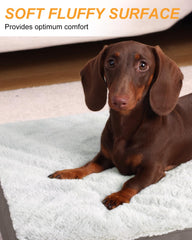 KSIIA removable cover zipper closeup emphasizes easy machine-wash care for pet parents
