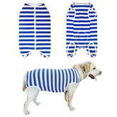 Kukaster Pet dog recovery suit blue-white front view on a dog.