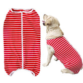 Kukaster Pet dog recovery suit full-body view showing coverage and comfort