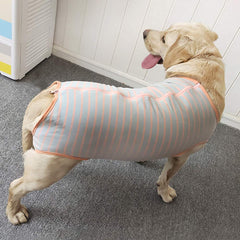 Kukaster Pet Dog Recovery Suit indoor-outdoor view demonstrates versatile protection from dirt and hair.