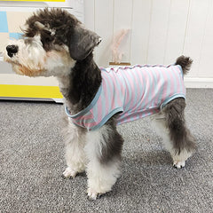 Kukaster Pet recovery suit worn indoors reduces shedding and keeps areas clean.
