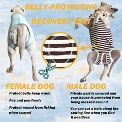 Kukaster Pet dog recovery suit indoor-use scenario on living room floor