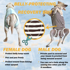 Kukaster Pet recovery suit soft breathable material for all-day wear