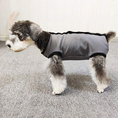 Kukaster Pet recovery suit belly cut open for pee access on a small male dog