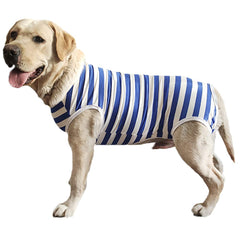 Kukaster Pet recovery suit used indoors and outdoors for versatile protection.
