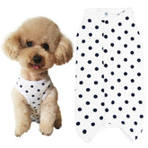 Kukaster Pet recovery suit on a puppy protecting the wound after surgery