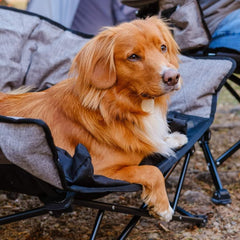 Kuma Outdoor Gear Lazy Bear Dog Bed setup demonstrates quick, effortless outdoor rest.