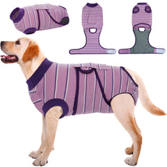 Kuoser blue recovery suit on a dog supports healing while staying comfortable.