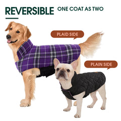 Kuoser dog coat back leash-hole image demonstrates safe, hands-free leash attachment