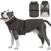 Kuoser dog coat with built-in harness ready for safer, two-in-one walks.