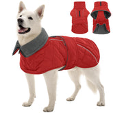 Kuoser dog coat windproof red 2XL front view highlighting secure fit and warmth on walks.