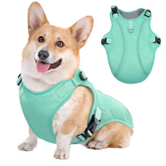 Kuoser dog cooling vest green front view highlighting breathable fabric for comfort