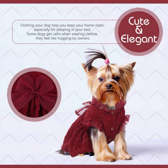 Kuoser dog dress red XS worn by small breed for daily outings