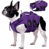 Kuoser dog life jacket with high flotation provides buoyant support for water play