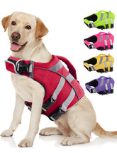 Kuoser dog life jacket with reflective stripes boosts visibility during water play.