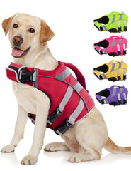 Kuoser dog life jacket with reflective stripes boosts visibility during water play.
