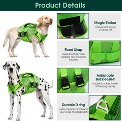 Kuoser dog life jacket rescue handle demonstrates quick assist during outings