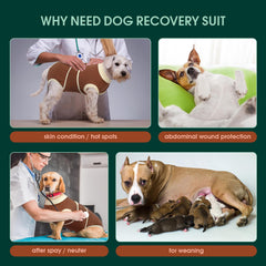 Kuoser dog recovery suit anti-licking e-collar alternative reduces wound licking