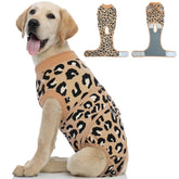 Kuoser recovery suit worn on a small dog, breathable fabric provides comfortable healing.