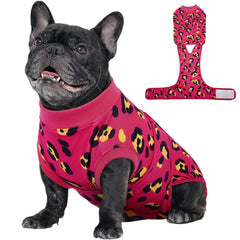 Kuoser dog recovery suit front view demonstrates a comfortable fit for healing