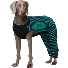 Kuoser dog recovery suit green front view reduces licking and supports gentle healing.