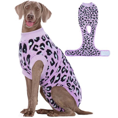 Kuoser dog recovery suit purple leopard XL on dog for post-surgery comfort.