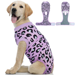 Kuoser dog recovery suit purple leopard XS front view shows protective, soft fabric