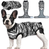 Kuoser dog surgery recovery suit back view shows snug fit for post-op healing