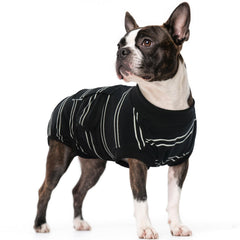 Kuoser Dog Surgery Recovery Suit blue fit showcases snug protection for post-op healing