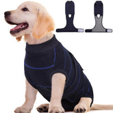 Kuoser dog surgery recovery suit blue stripes XS on a small dog for gentle healing protection