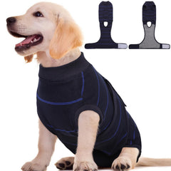 Kuoser dog surgery recovery suit blue stripes XS on a small dog for gentle healing protection