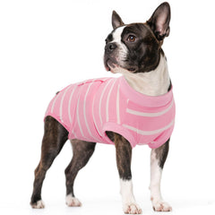 Kuoser dog surgery recovery suit blue wear protects incisions while keeping your dog comfortable and mobile.