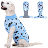Kuoser dog surgery suit blue polka dots 2XL worn for post-op comfort and wound protection.