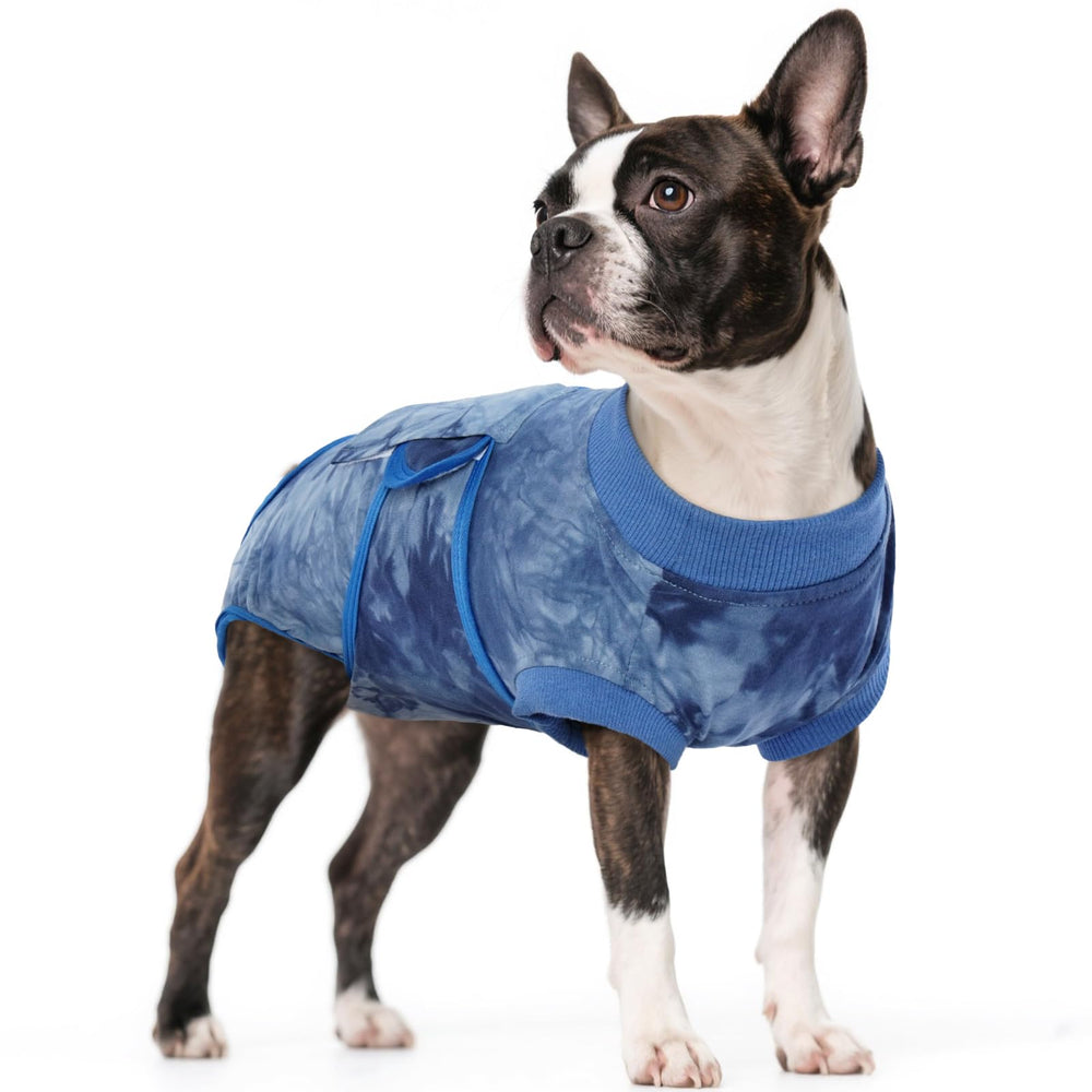 Kuoser dog surgery suit in blue tie-dye on a calm dog for post-op comfort.