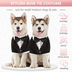 Kuoser dog tuxedo black fabric close-up highlighting material