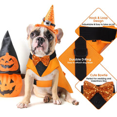 Kuoser dog tuxedo pumpkin back view showcasing festive silhouette