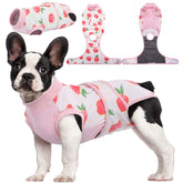 Kuoser Recovery Suit on a dog front view showing cone-free healing and comfort.